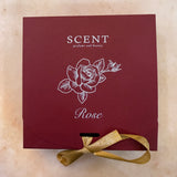 DISCOVERY KIT ROSE