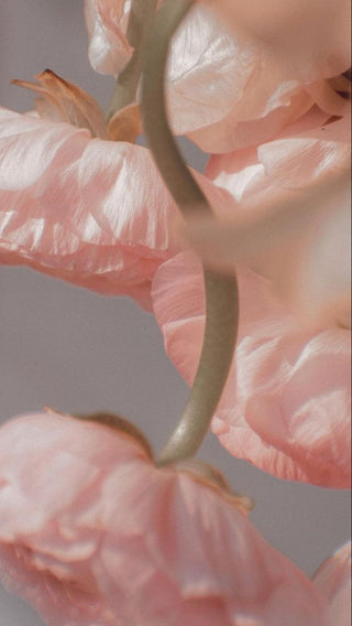 FLOREALI