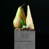 PAS CE SOIR EXTRAIT - BDK PARFUMS