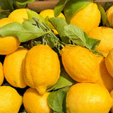 CITRUS RIVIERA - BDK PARFUMS