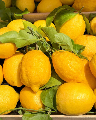 CITRUS RIVIERA - BDK PARFUMS