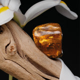 STELLAR SILK - COLLECTION STUDIO - BDK PARFUMS