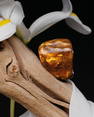 STELLAR SILK - COLLECTION STUDIO - BDK PARFUMS