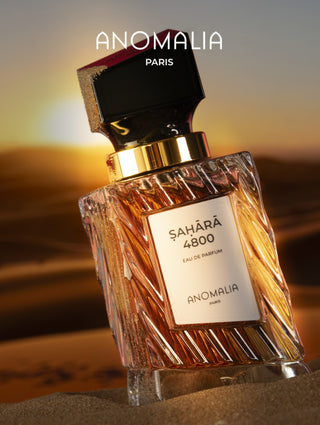 SAHARA 4800 - ANOMALIA PARIS