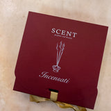 DISCOVERY KIT INCENSATI