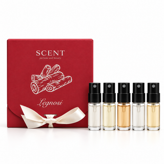DISCOVERY KIT LEGNOSO
