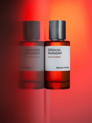 HIBISCUS MAHAJAD - MAISON CRIVELLI