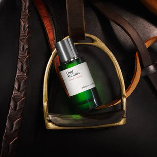 OUD STALLION - MAISON CRIVELLI