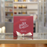 DISCOVERY KIT LEGNOSI