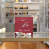 DISCOVERY KIT FIORITI BIANCHI