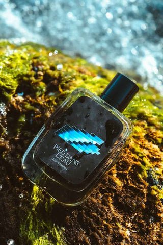PIED DANS L'EAU - MALVA 1979