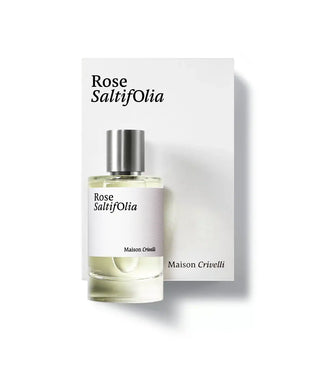 ROSE SALTIFOLIA - MAISON CRIVELLI