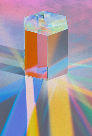 STEAMED RAINBOW - D.S. & DURGA