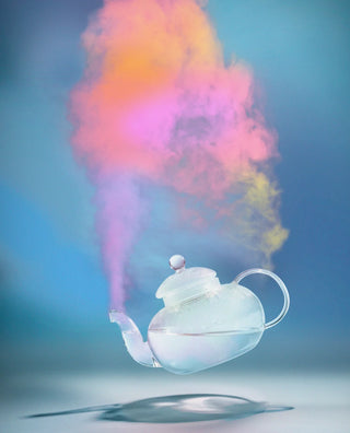 STEAMED RAINBOW - D.S. & DURGA