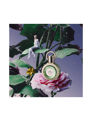 ROSE CROQUANTE - CARON PARIS