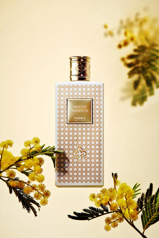 MIMOSA TANNERON - PERRIS MONTE CARLO