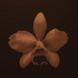 VANILLE CAVIAR - BDK PARFUMS