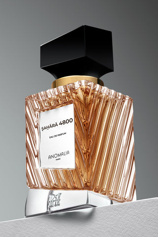 SAHARA 4800 - ANOMALIA PARIS
