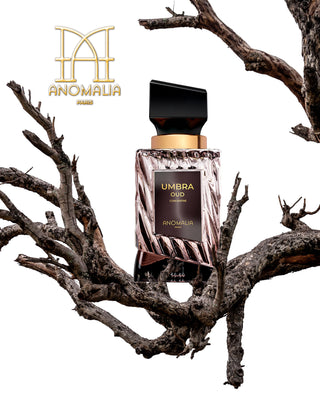UMBRA OUD - ANOMALIA PARIS
