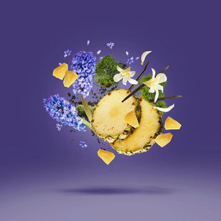ACCENTO - XERJOFF