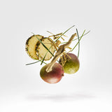 CRUZ DEL SUR II - XERJOFF