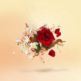 LA CAPITALE - XERJOFF