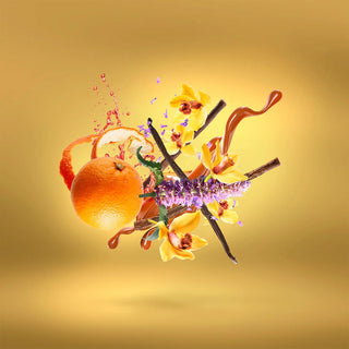LIRA - CASAMORATI
