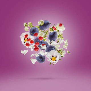 MUSE - XERJOFF