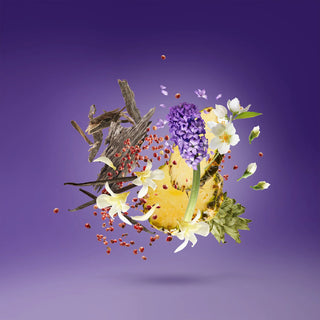 PURPLE ACCENTO - XERJOFF